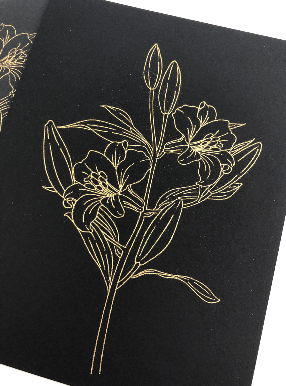 Tips for Using the Cricut Foil Transfer Tool - Cardstock Quality — JoAnna  Seiter